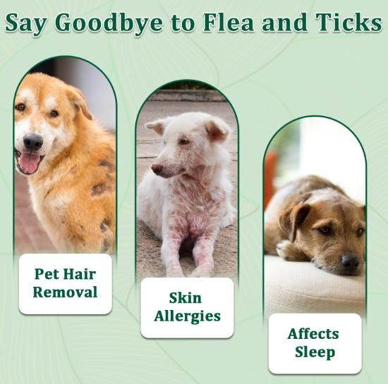 Flea and Tick Spray 100 ml each Pack of 2